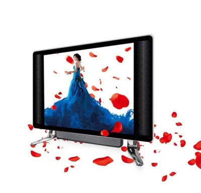 TV LED LCD Smart HD a colori da 19 pollici con doppio vetro